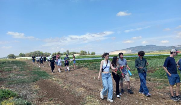 סיור ליקוט בחווה אורגנית בגליל - תיירות זה לביא